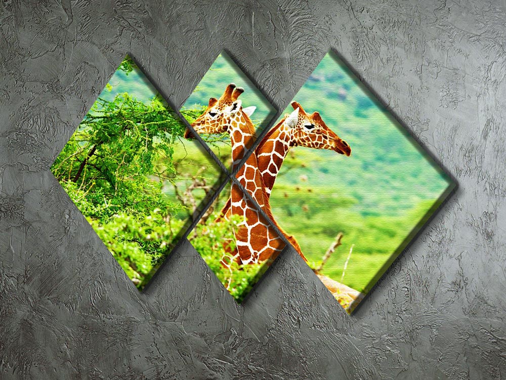 A beautiful multi-panel canvas artwork featuring a family of African giraffes, divided into four equal square sections, showcasing vibrant colors and intricate details.