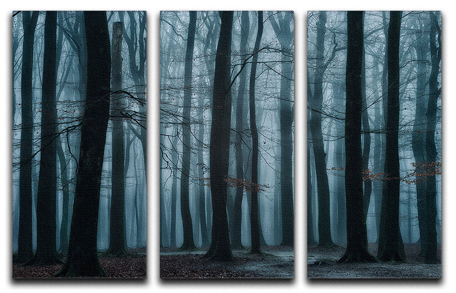 All Of Us 3 Split Panel Canvas Print featuring three cohesive and captivating designs, perfect for enhancing any room's decor.