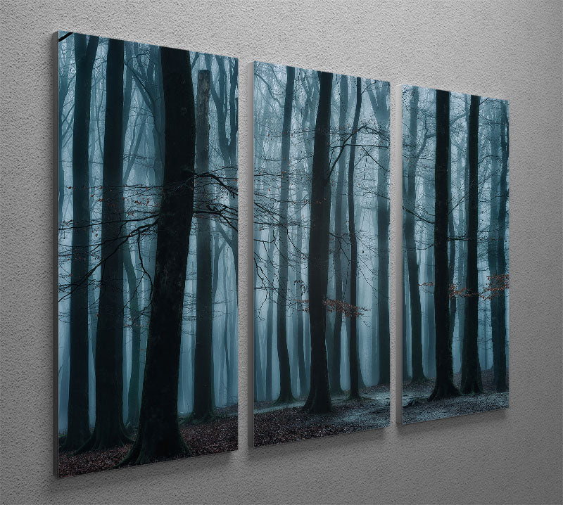 All Of Us 3 Split Panel Canvas Print featuring three cohesive and captivating designs, perfect for enhancing any room's decor.