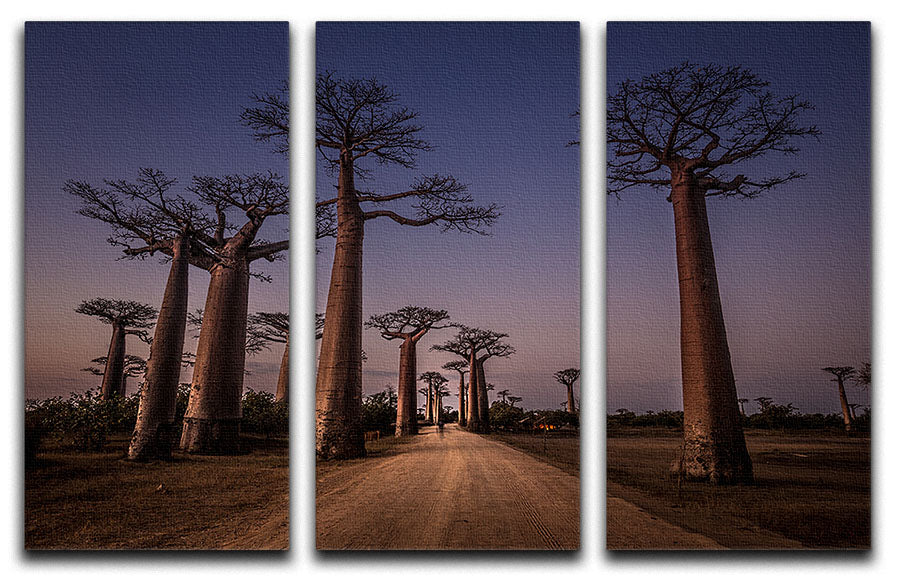 Allace Des Baobabs 3 Split Panel Canvas Print showcasing vibrant colors and intricate details, perfect for home decor.