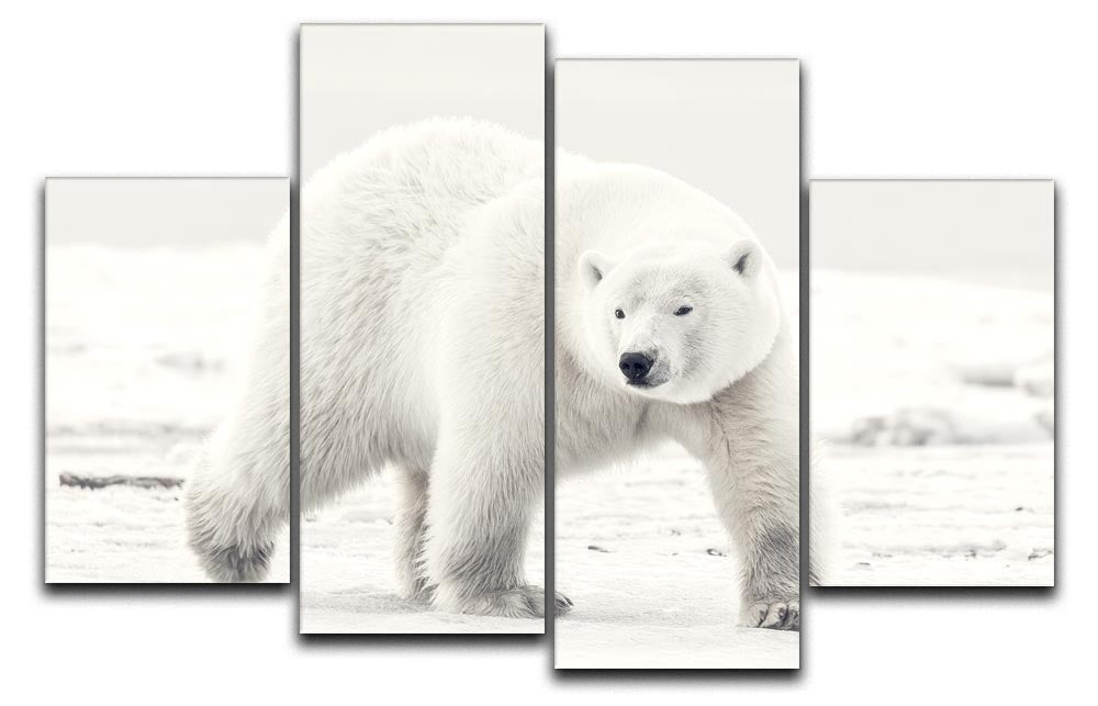 Alaskan King 4 Split Panel Canvas artwork displayed in a modern living room setting, showcasing vibrant colors and dynamic design.