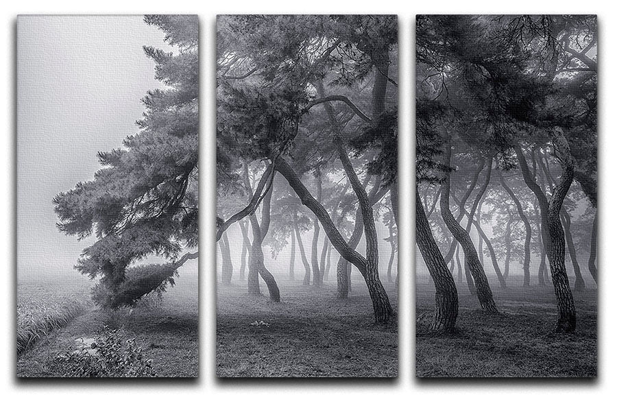 Always 3 Split Panel Canvas Print featuring vibrant designs in three panels, ideal for home decor.