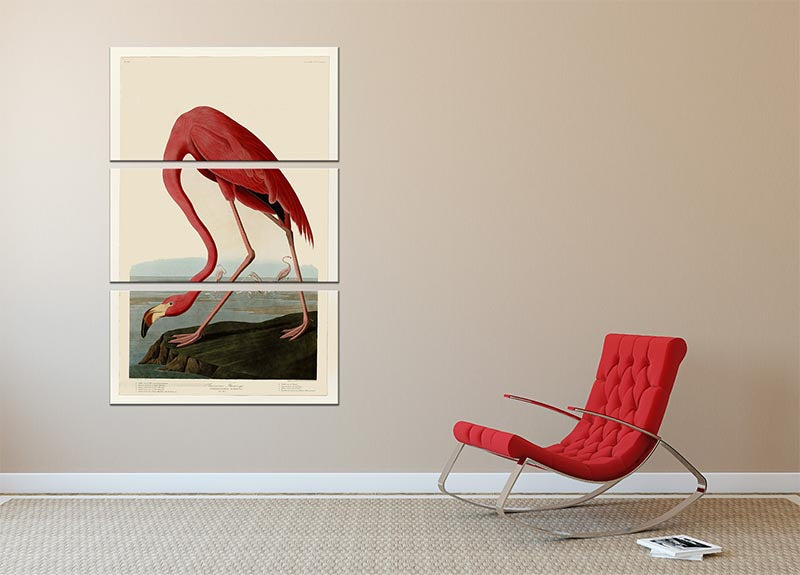 A vibrant 3-panel canvas print featuring the American Flamingo, showcasing its elegant form and colors, perfect for home decor.
