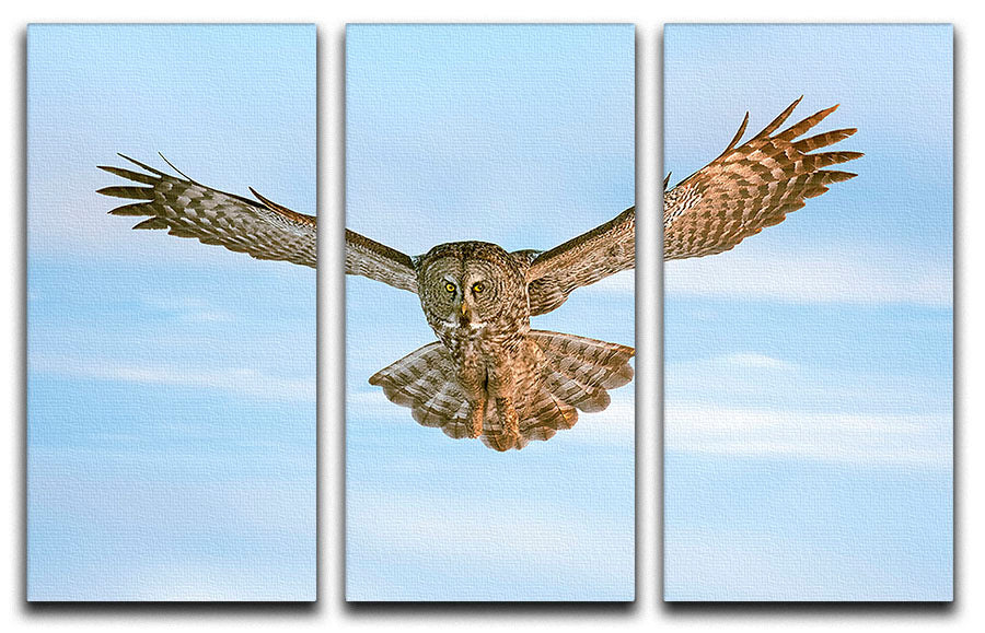A stunning 3-panel canvas print featuring an owl in flight, showcasing intricate details and vibrant colors, perfect for home decor.