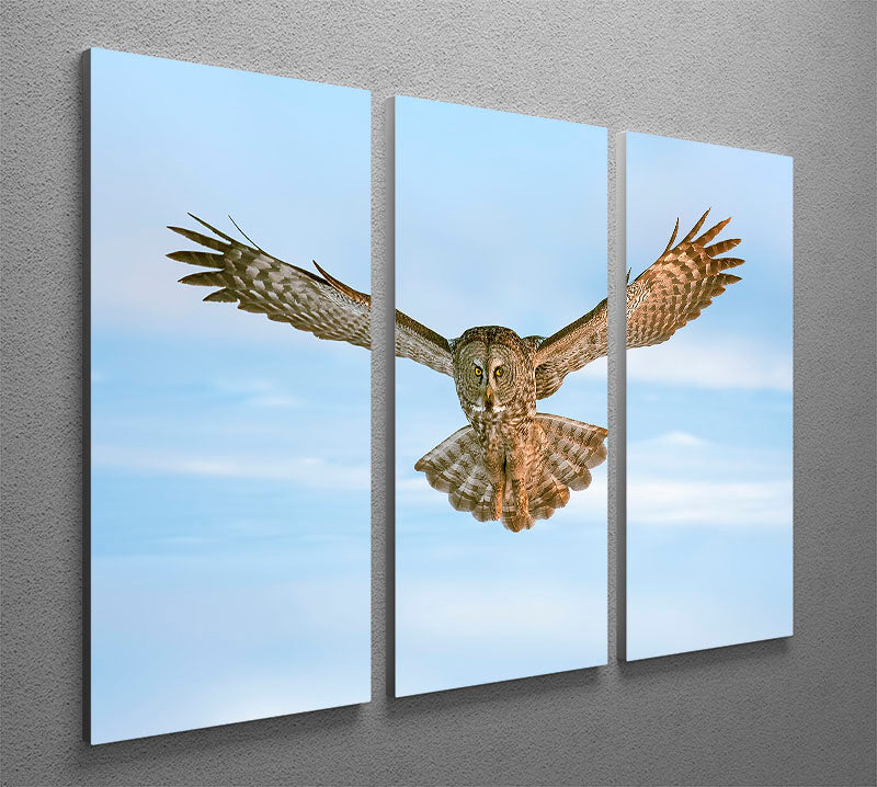 A stunning 3-panel canvas print featuring an owl in flight, showcasing intricate details and vibrant colors, perfect for home decor.