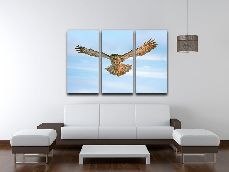 A stunning 3-panel canvas print featuring an owl in flight, showcasing intricate details and vibrant colors, perfect for home decor.