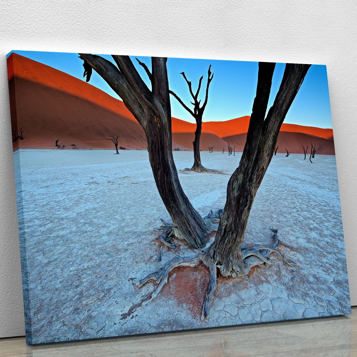 Canvas print featuring ancient trees in a serene vlei setting, showcasing vibrant colors and intricate details.