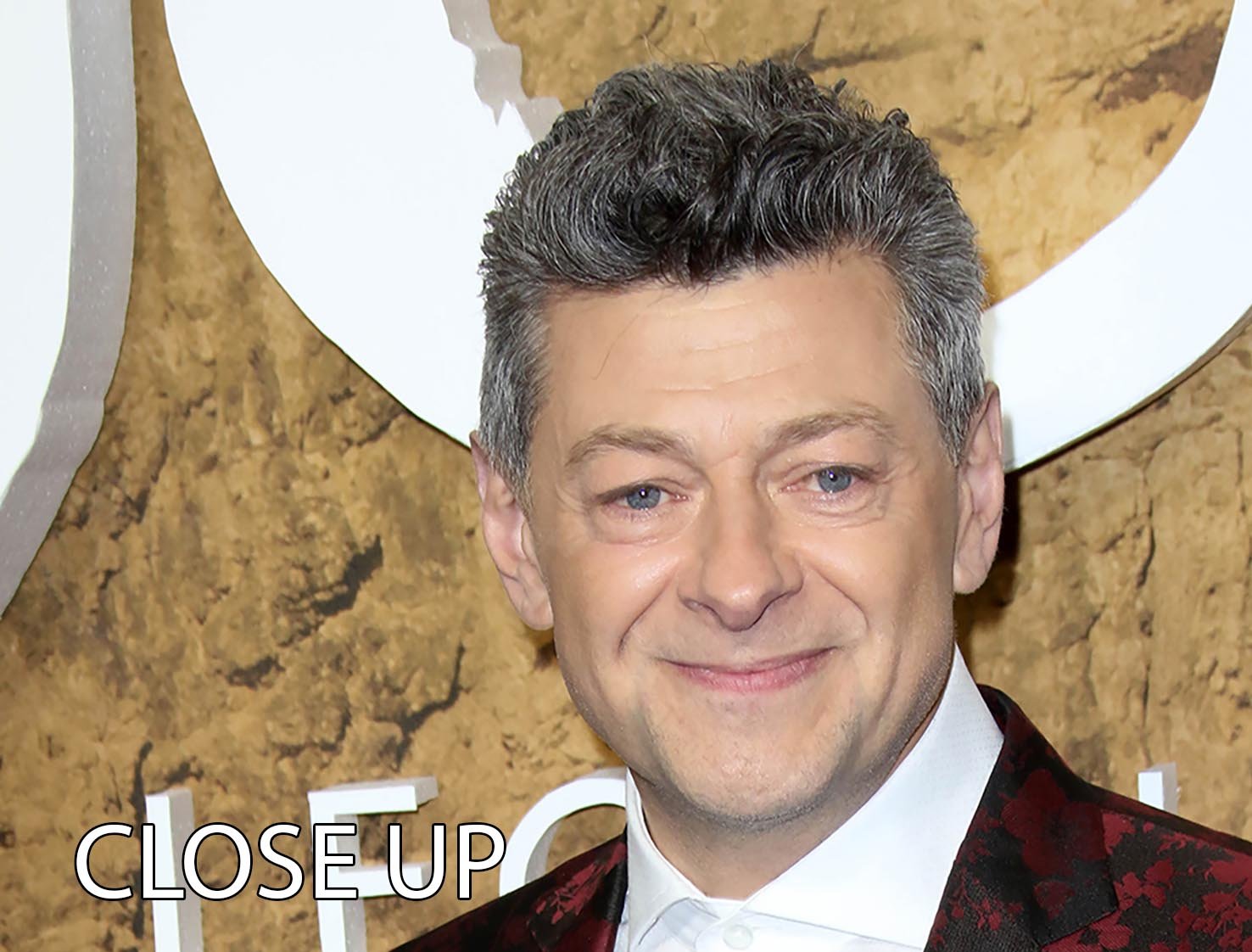 Andy Serkis 3 Split Panel Canvas Print featuring three high-quality canvases with captivating design, perfect for home decor.