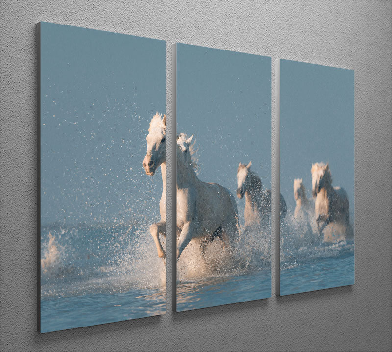 Angels of Camargue 3 Split Panel Canvas Print showcasing vibrant colors and elegant design, perfect for home decor.
