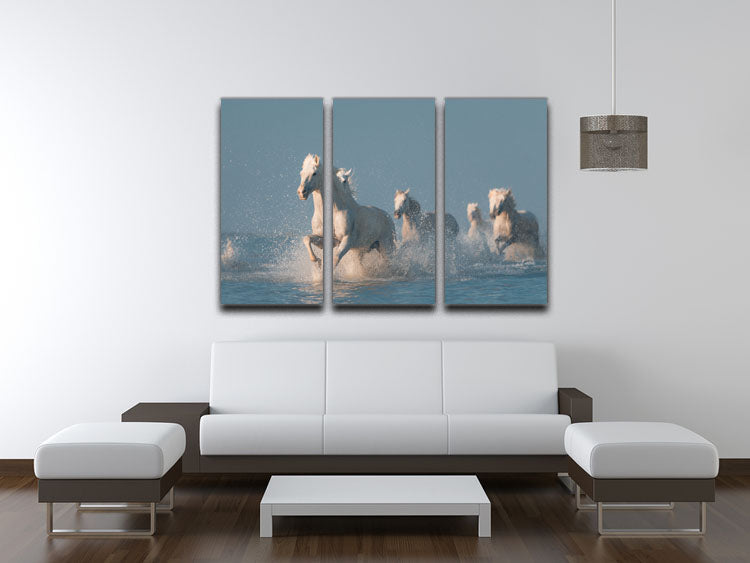 Angels of Camargue 3 Split Panel Canvas Print showcasing vibrant colors and elegant design, perfect for home decor.