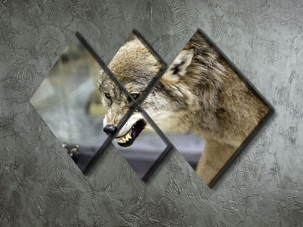 A stunning multi-panel canvas artwork featuring an angry grey wolf in a winter forest setting, divided into four equal square sections.