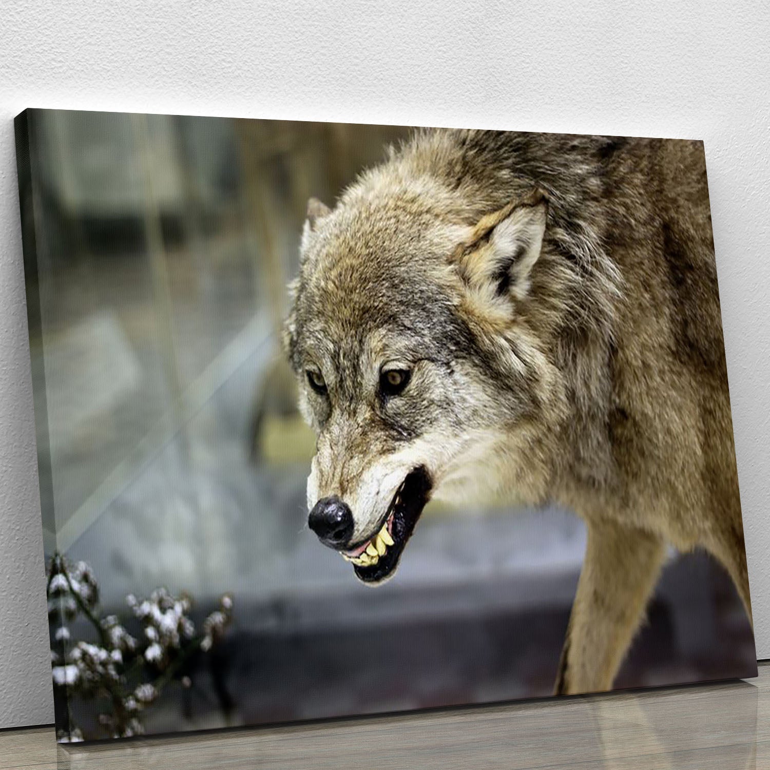 Canvas print of an angry grey wolf in a winter forest, showcasing its fierce expression and snowy surroundings.