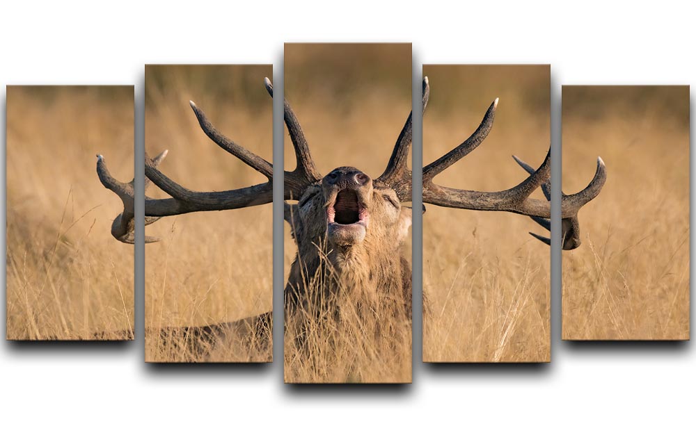 Antler Ready to Rut 5 Split Panel Canvas artwork featuring a dynamic nature scene divided into five panels.