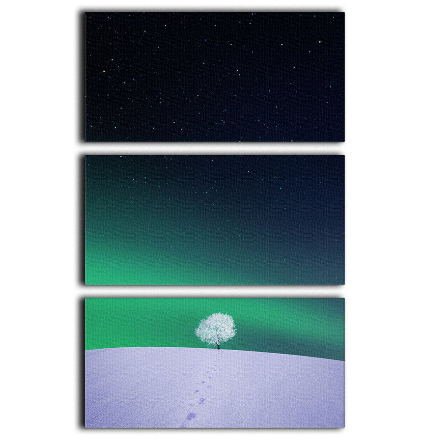 Apple 3 Split Panel Canvas Print featuring three high-quality canvases with a cohesive design, perfect for enhancing any room's decor.