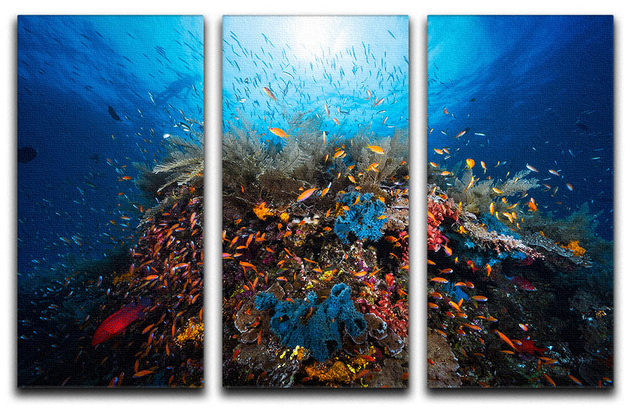 Apnea 3 Split Panel Canvas Print showcasing a stunning design with three high-quality panels, perfect for home or office decor.