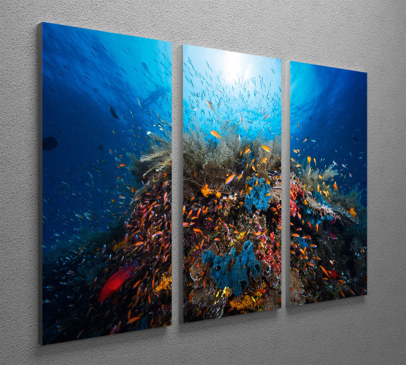 Apnea 3 Split Panel Canvas Print showcasing a stunning design with three high-quality panels, perfect for home or office decor.