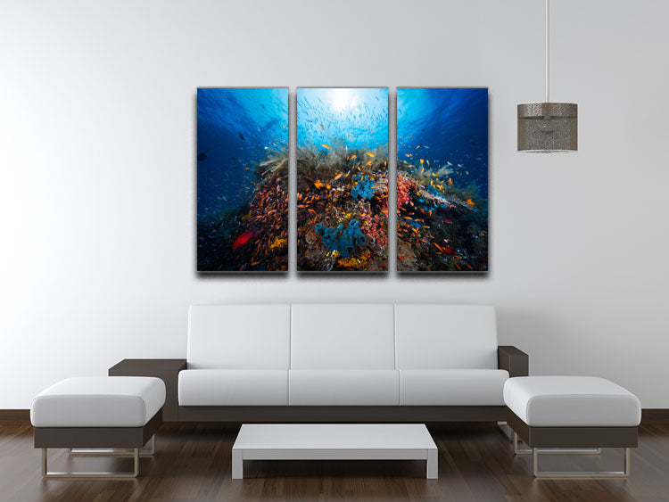 Apnea 3 Split Panel Canvas Print showcasing a stunning design with three high-quality panels, perfect for home or office decor.