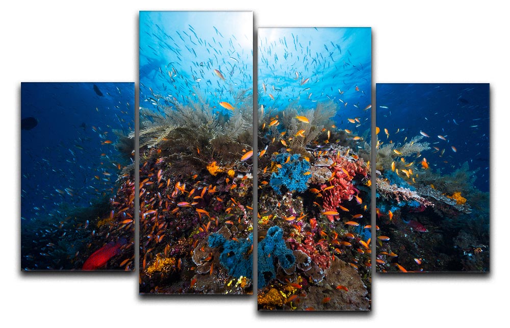 Apnea 4 Split Panel Canvas artwork featuring four equal sections, showcasing a cohesive and dynamic design.