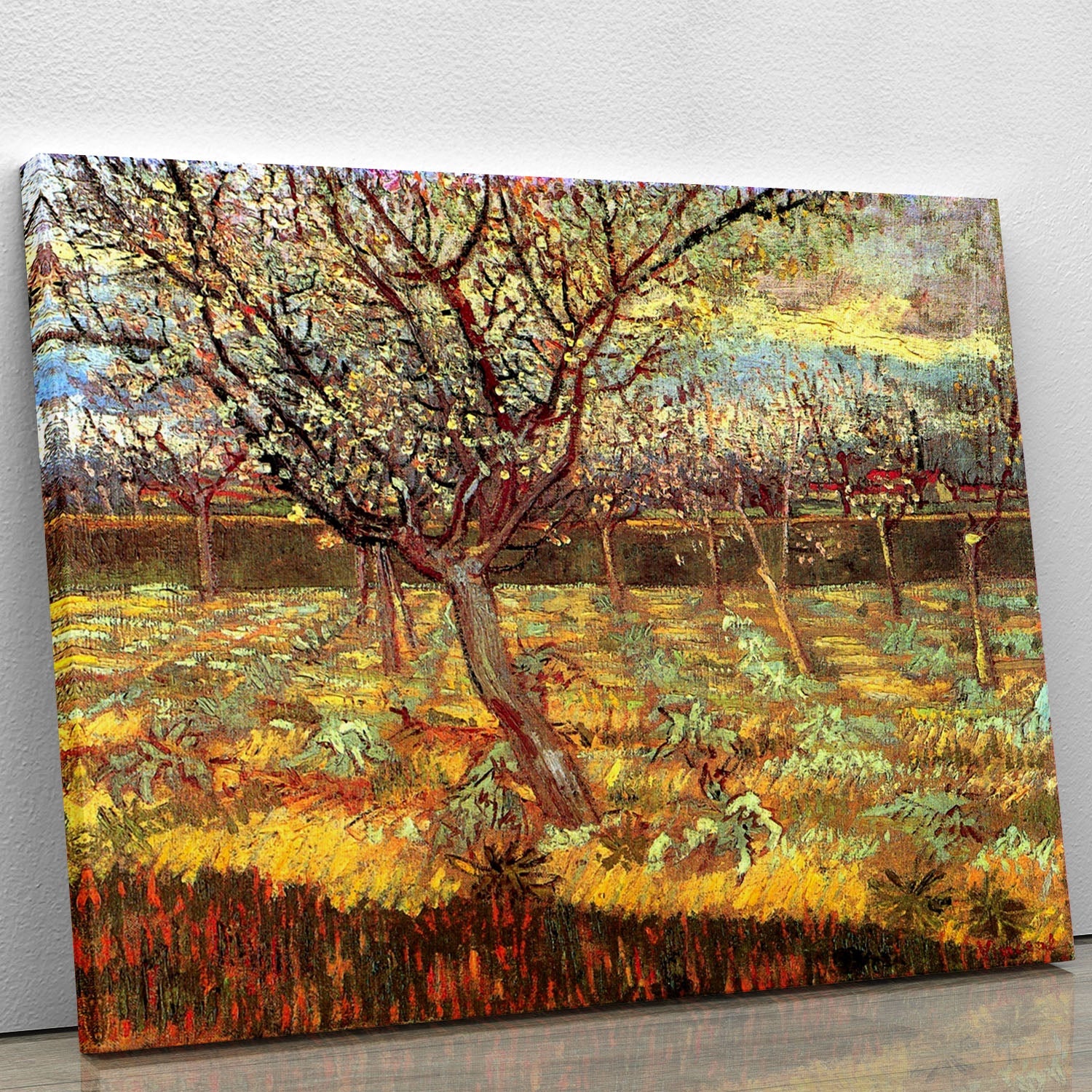 Canvas print of Van Gogh's Apricot Trees in Blossom, showcasing vibrant blossoms and rich colors, perfect for home decor.
