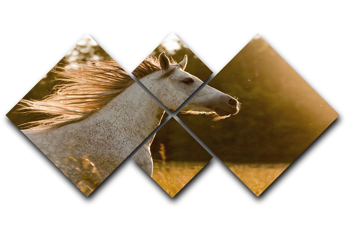 A beautiful multi-panel canvas artwork featuring an Arab horse against a vibrant sunset, divided into four equal square sections.
