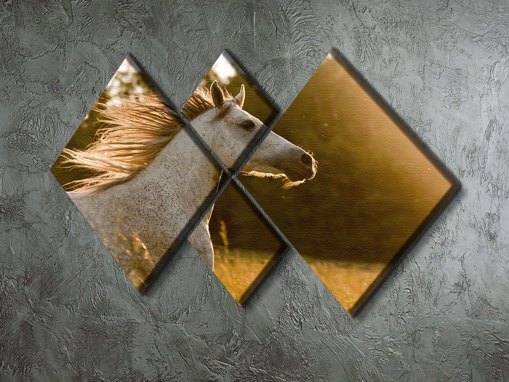 A beautiful multi-panel canvas artwork featuring an Arab horse against a vibrant sunset, divided into four equal square sections.
