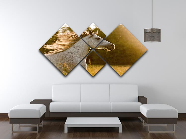 A beautiful multi-panel canvas artwork featuring an Arab horse against a vibrant sunset, divided into four equal square sections.