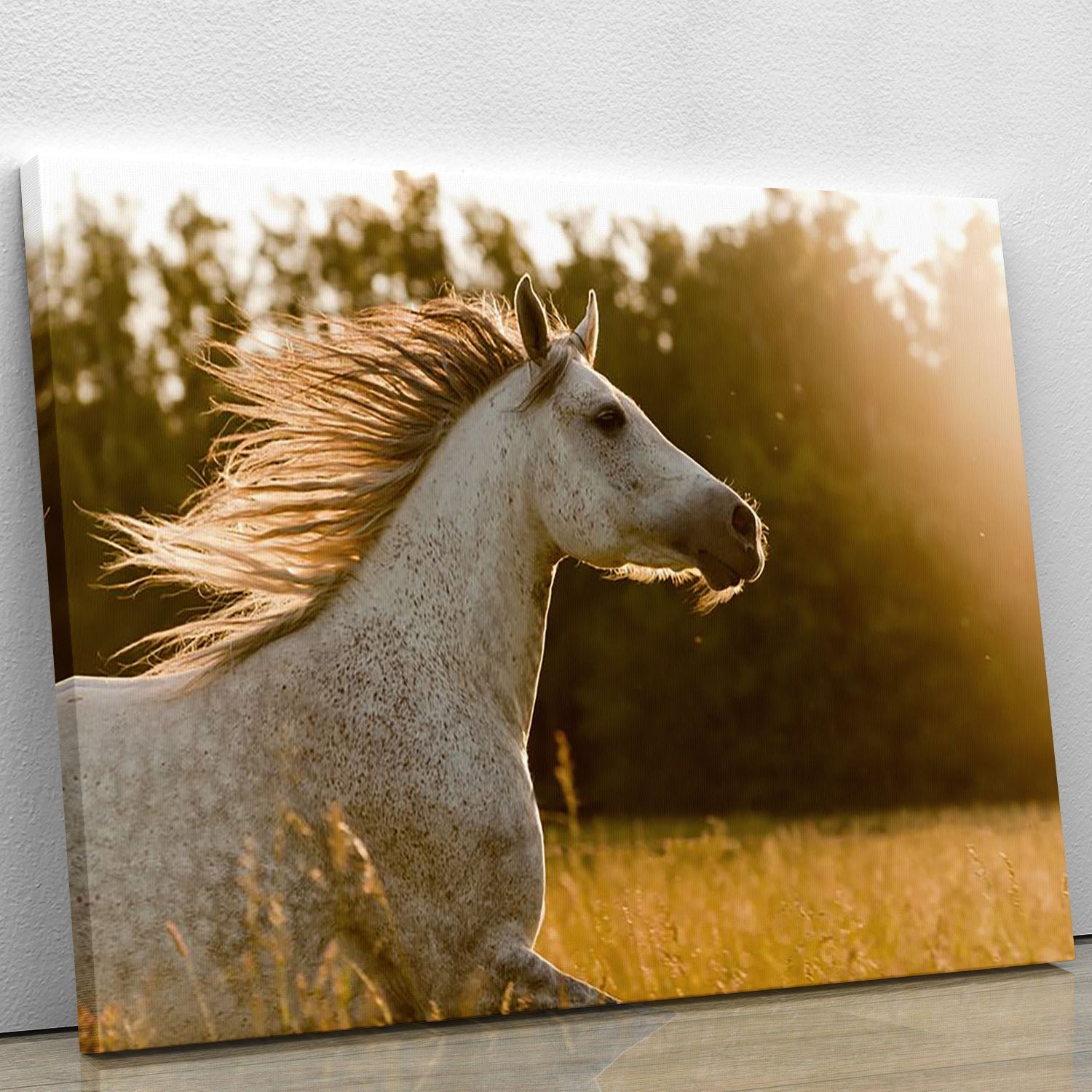 A stunning canvas print featuring an Arab horse silhouetted against a vibrant sunset, showcasing rich colors and intricate details.