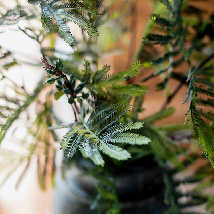 A tall 47-inch artificial Acacia plant stem with realistic green leaves, perfect for home or office decor.