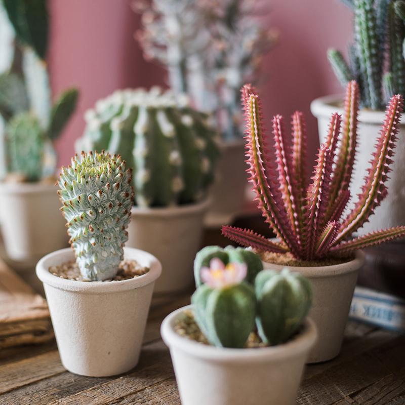 A realistic artificial faux cactus plant bonsai potted in a decorative pot, showcasing vibrant green and light gray colors.