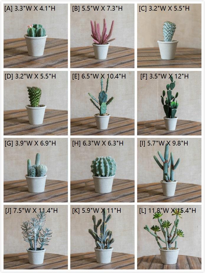 A realistic artificial faux cactus plant bonsai potted in a decorative pot, showcasing vibrant green and light gray colors.