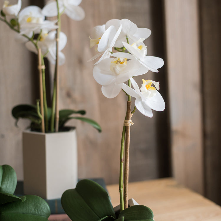 Artificial Real Touch Orchid Plant in green and white, showcasing lifelike flowers and smooth leaves in a decorative pot.