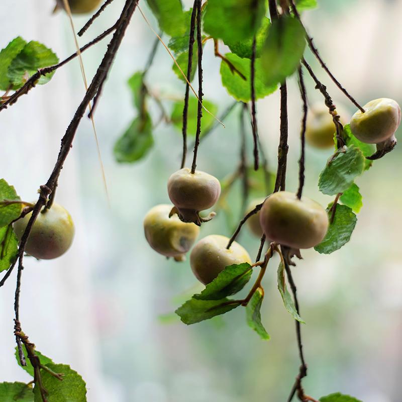 20-inch tall artificial fruit rose hip stem with five realistic silk fruits in vibrant green and mixed colors, perfect for home decor.