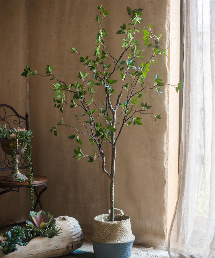 Artificial Green Leaf Faux Tree in a stylish black pot, showcasing realistic green leaves and a lifelike appearance.