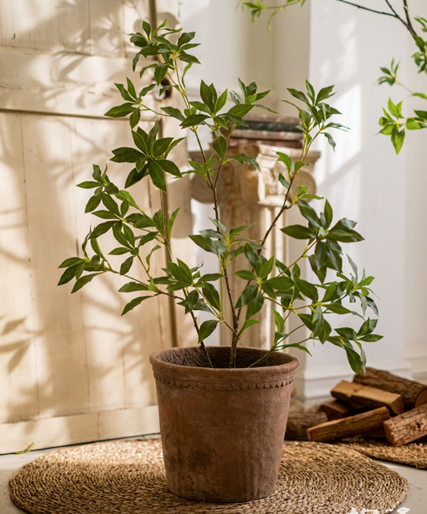Artificial Japanese Enkianthus Tree in a black pot, showcasing realistic green leaves and vibrant colors.