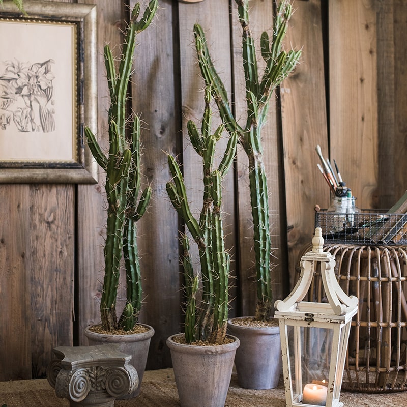 Artificial Plant Chihuahua Desert Cactus in a gray pot, showcasing vibrant green colors and realistic design.