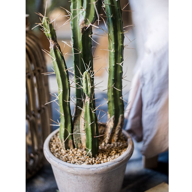 Artificial Plant Chihuahua Desert Cactus in a gray pot, showcasing vibrant green colors and realistic design.