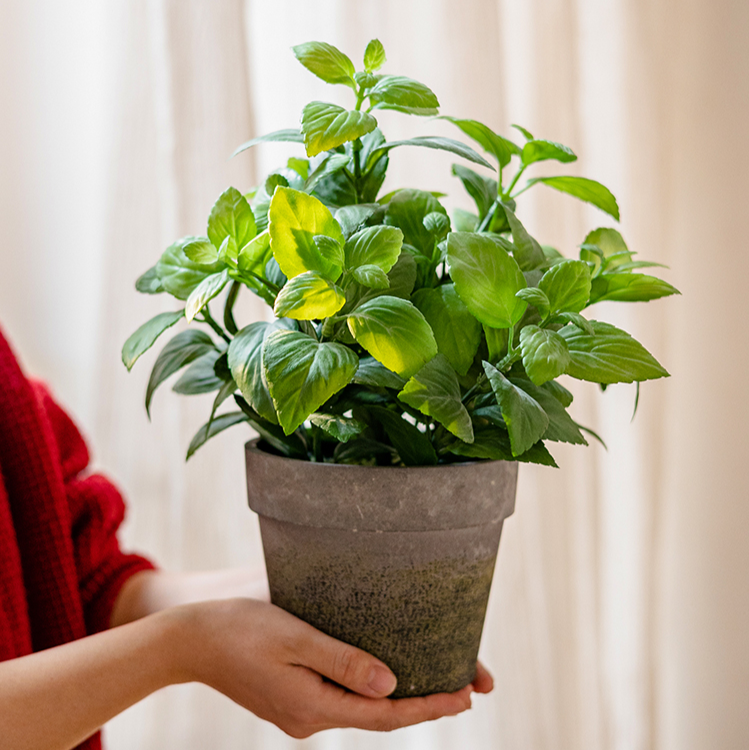 A realistic artificial potted mint plant in a gray taupe pot, showcasing vibrant green leaves.