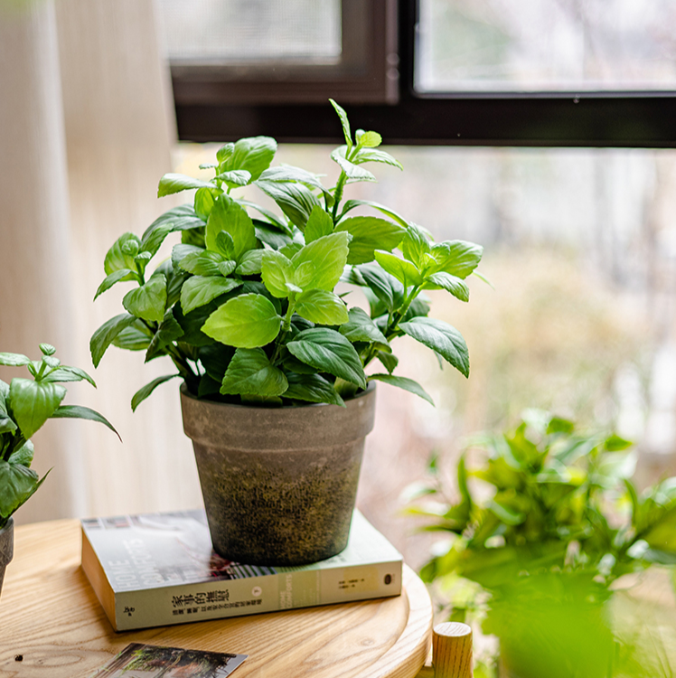 A realistic artificial potted mint plant in a gray taupe pot, showcasing vibrant green leaves.