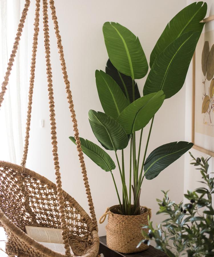 Artificial Silk Travelers Palm Tree in Pot, showcasing lush green leaves and a stylish black pot.