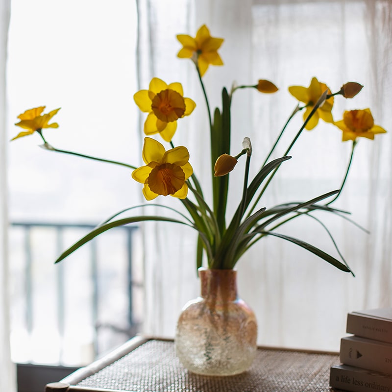 A vibrant 19-inch tall artificial silk yellow daffodil flower stem with two blooms and one bud, featuring realistic green leaves.