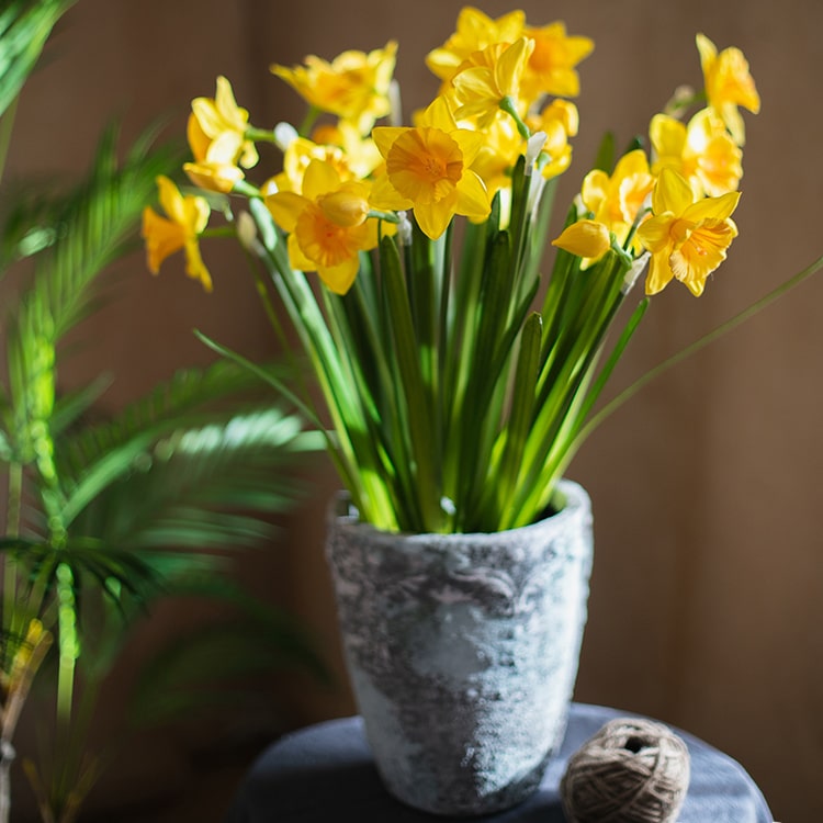 A vibrant 19-inch tall artificial silk yellow daffodil flower stem with two blooms and one bud, featuring realistic green leaves.