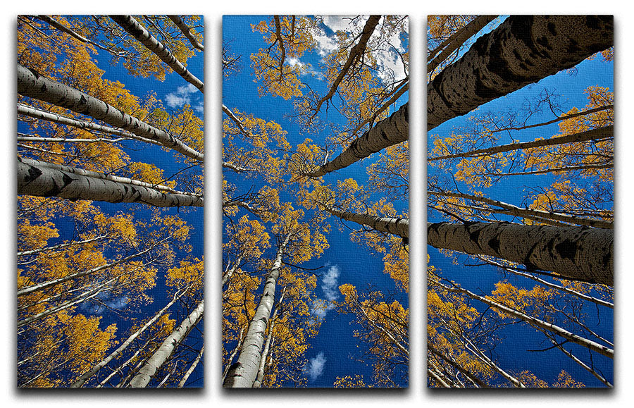 Aspen's Fall 3 Split Panel Canvas Print showcasing vibrant autumn foliage in three panels.