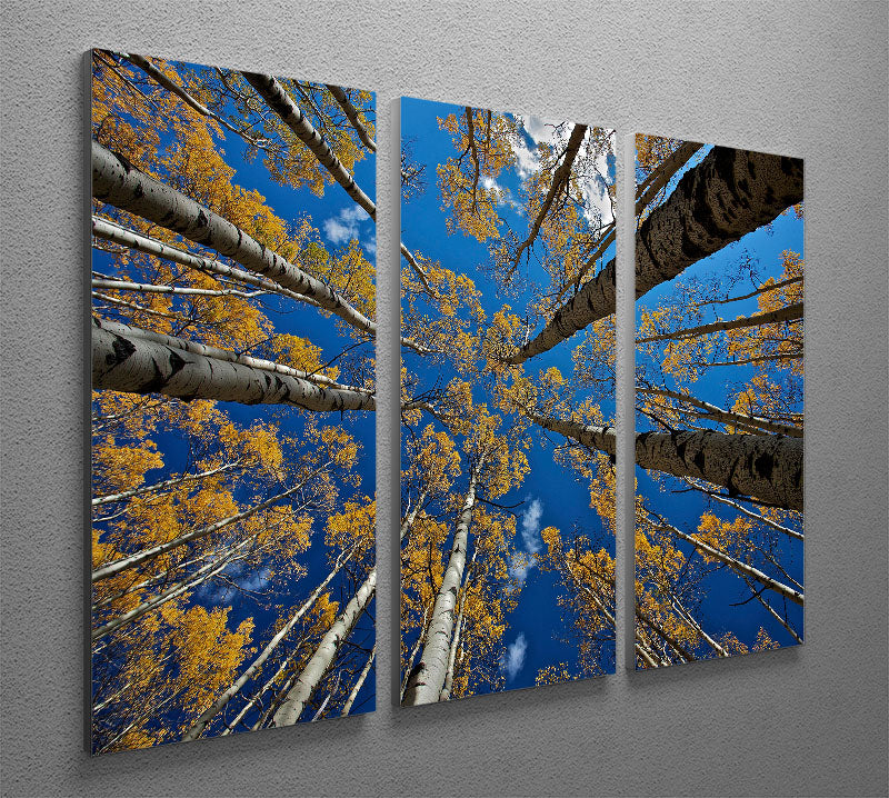 Aspen's Fall 3 Split Panel Canvas Print showcasing vibrant autumn foliage in three panels.