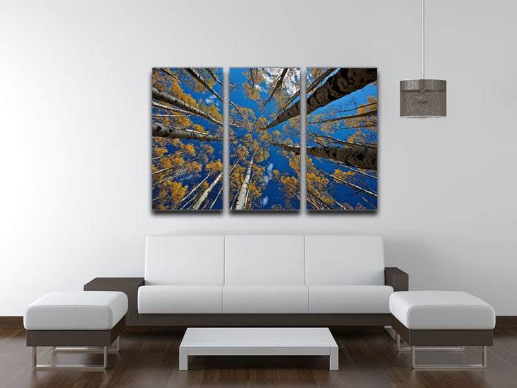 Aspen's Fall 3 Split Panel Canvas Print showcasing vibrant autumn foliage in three panels.