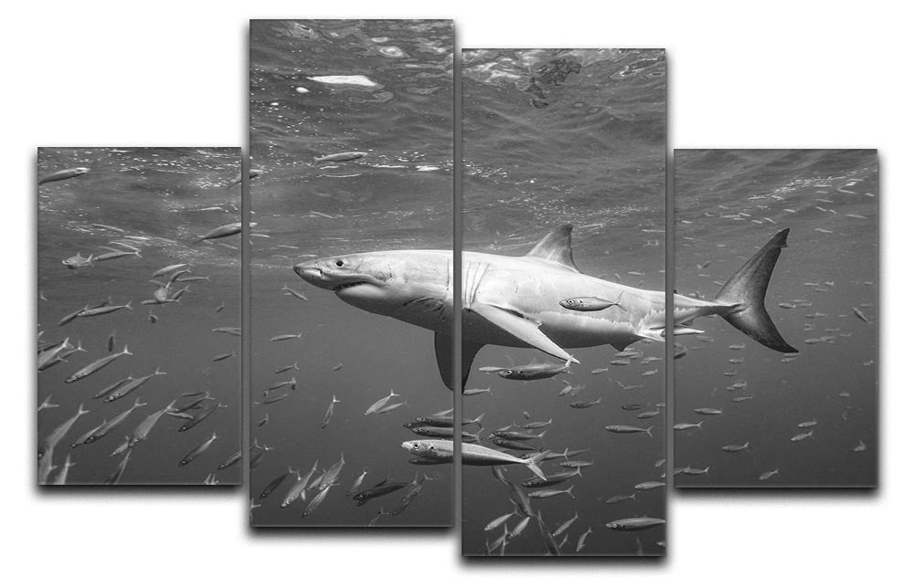 At The Surface 4 Split Panel Canvas artwork featuring four equal sections creating a cohesive design.