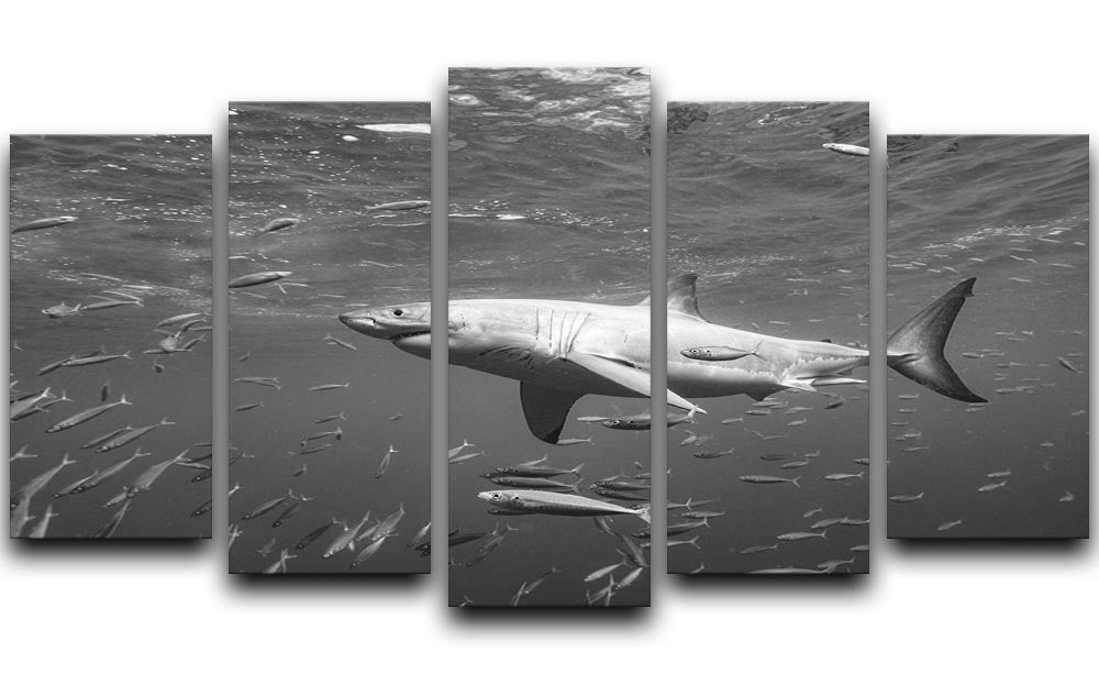 At The Surface 5 Split Panel Canvas artwork featuring five panels with a cohesive design, enhancing interior decor with depth and dimension.