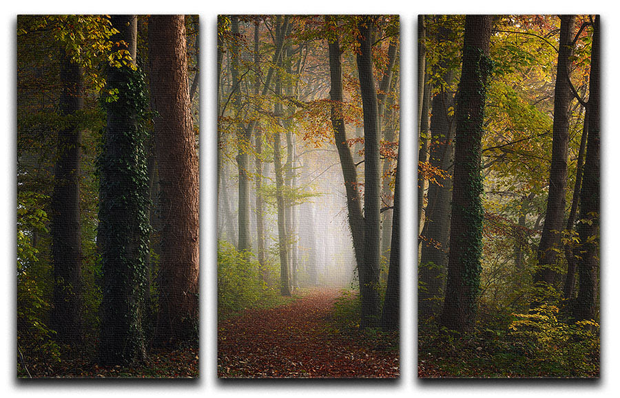 Autumn Colorful Forest 3 Split Panel Canvas Print showcasing vibrant fall colors in a serene forest landscape.