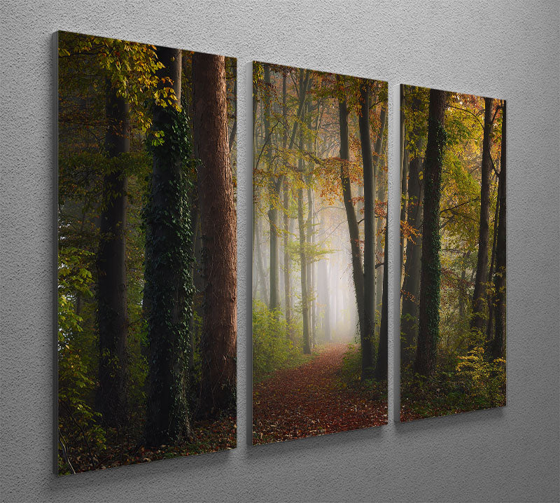 Autumn Colorful Forest 3 Split Panel Canvas Print showcasing vibrant fall colors in a serene forest landscape.