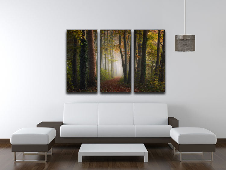 Autumn Colorful Forest 3 Split Panel Canvas Print showcasing vibrant fall colors in a serene forest landscape.