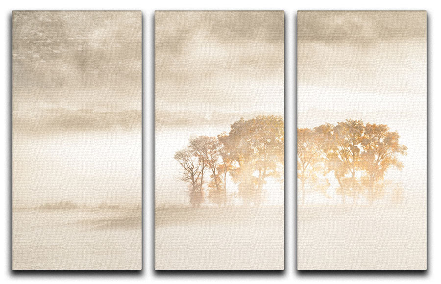 Autumn Dreams 3 Split Panel Canvas Print featuring vibrant autumn colors and elegant design, perfect for home decor.